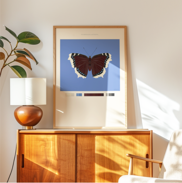 Mourning Cloak Butterfly Poster Blue
