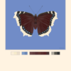 Mourning Cloak Blue Butterfly Poster Featured Mourning Cloak Butterfly Poster Blue