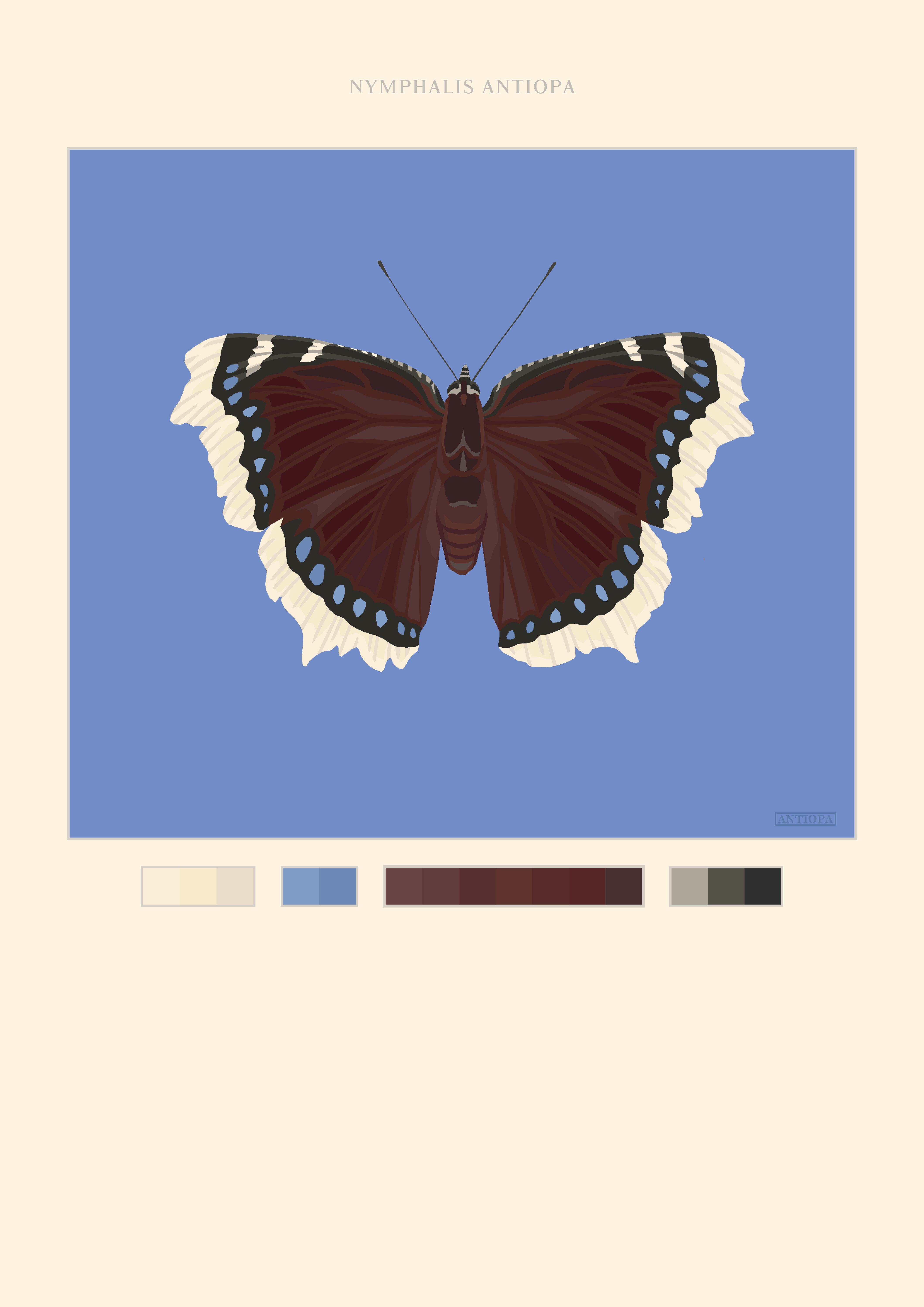 Mourning Cloak Butterfly Poster Blue Background Mourning Cloak Butterfly Poster Blue