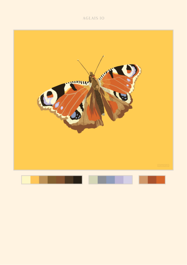 Peacock Butterfly featured Peacock Butterfly Poster