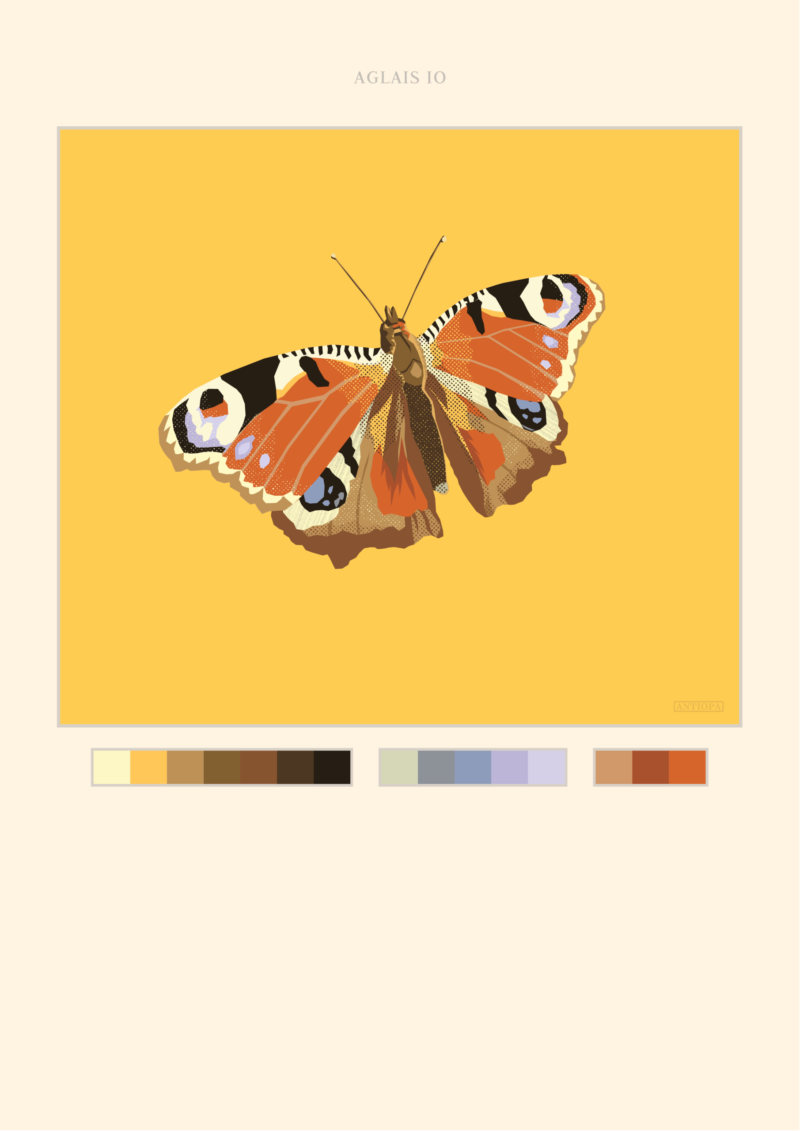Peacock Butterfly Poster