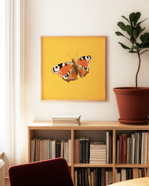 Bookcase Living Room Peacock Butterfly Square Poster 2 Peacock Butterfly Square Poster