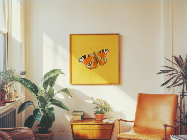 Mid Century Modern Living Room Peacock Butterfly Square Poster 2 Peacock Butterfly Square Poster