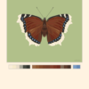 Mourning Cloak Butterfly Poster Green