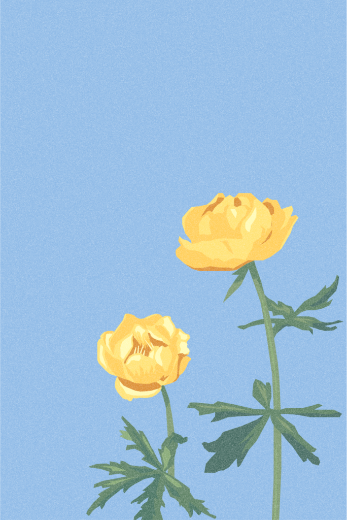 About Yellow Flowers About Us 5