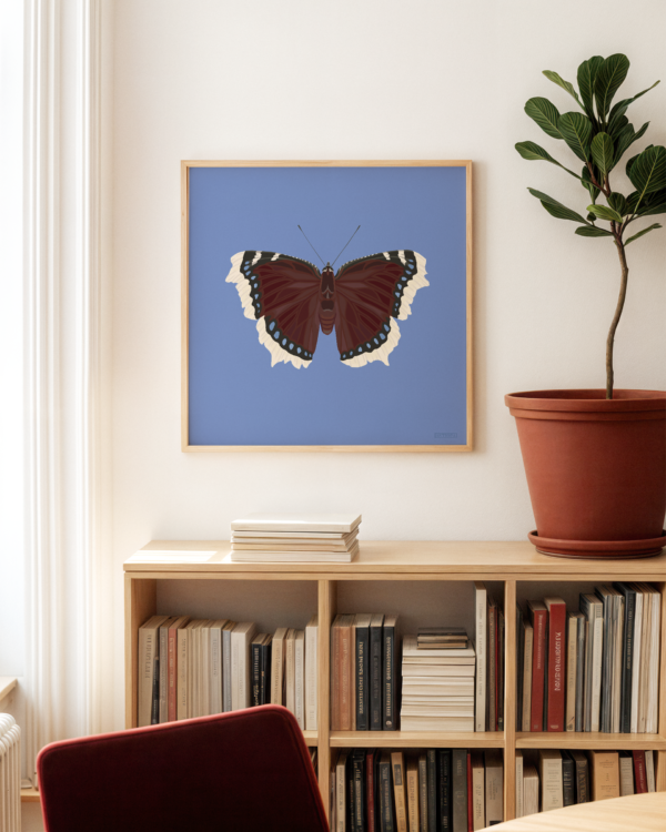 Mourning Cloak Blue Butterfly Poster Square