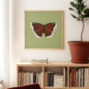 Mourning Cloak Square Butterfly Poster Green