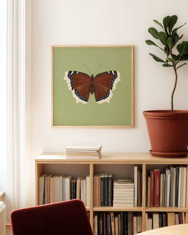 Mourning Cloak Square Butterfly Poster Green