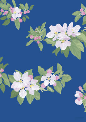 Cherry Blossom Blue Poster