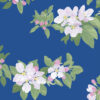 Cherry Blossom Blue Poster
