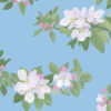 Cherry Blossom Light Blue Poster