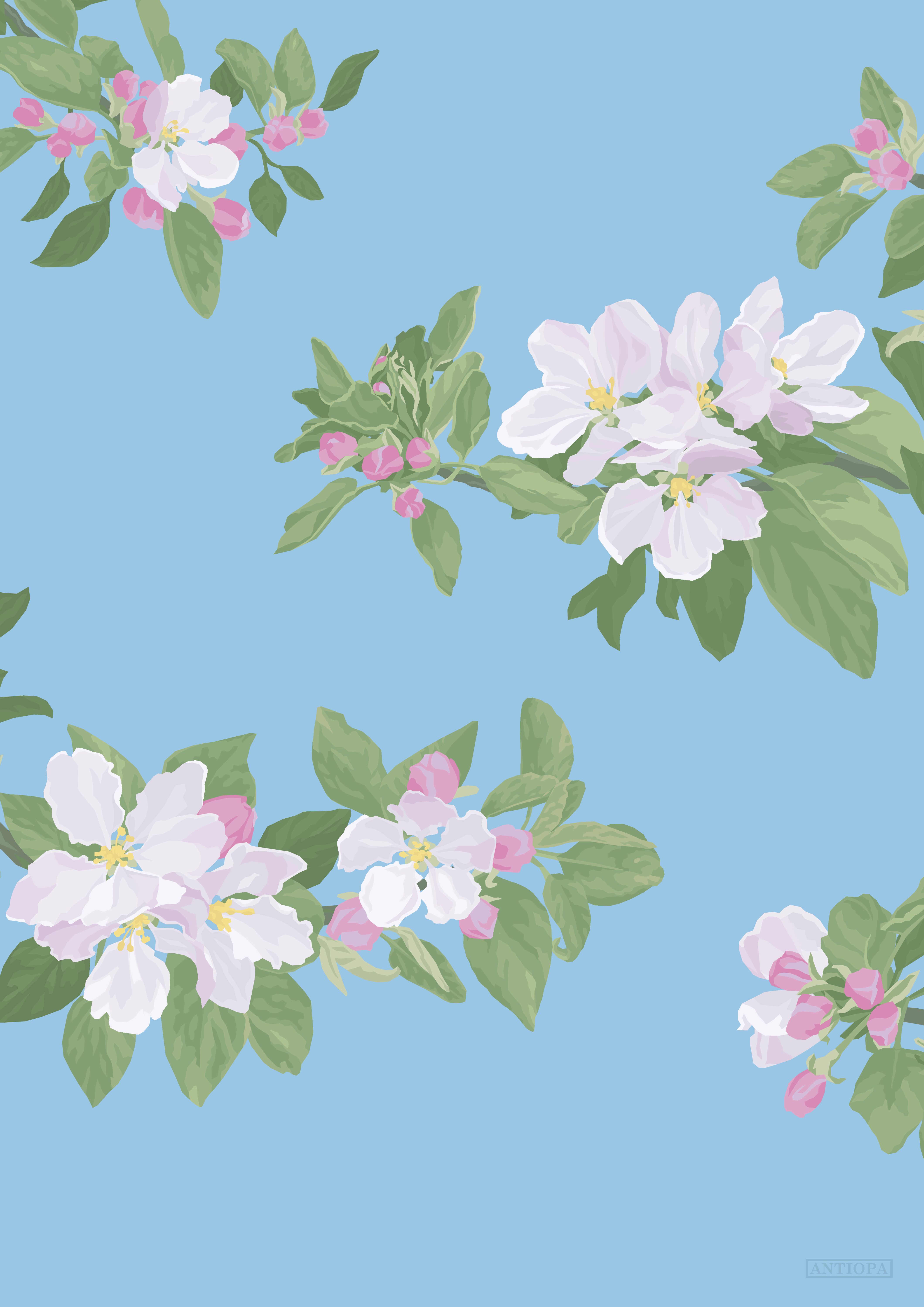 Cherry Blossom Light Blue Poster Cherry Blossom Light Blue Poster