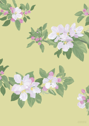 Cherry Blossom Yellow Poster