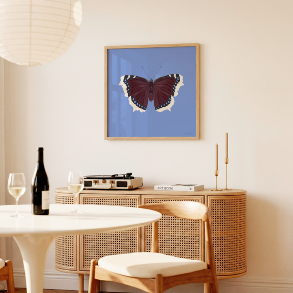 Mourning Cloak Blue Butterfly Poster Square