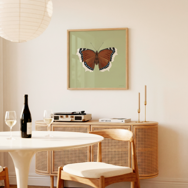 Mourning Cloak Square Butterfly Poster Green