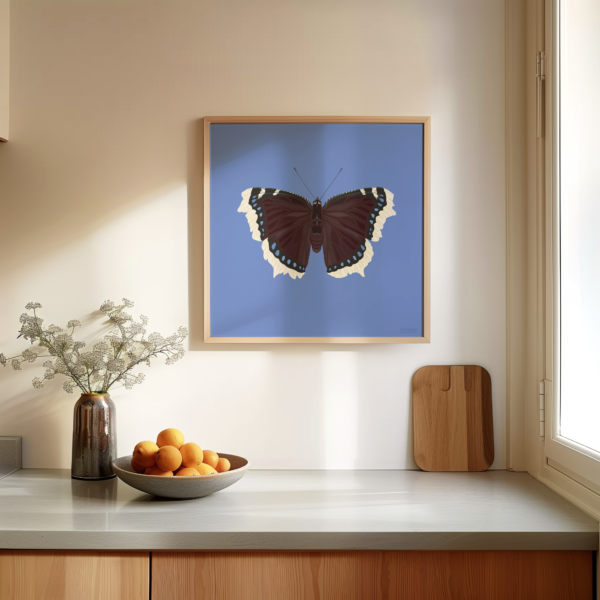 Mourning Cloak Blue Butterfly Poster Square