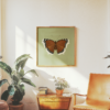 Mourning Cloak Square Butterfly Poster Green