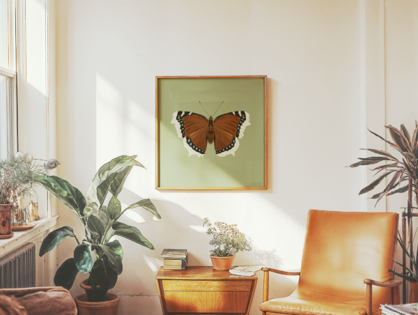 Mourning Cloak Square Butterfly Poster Green