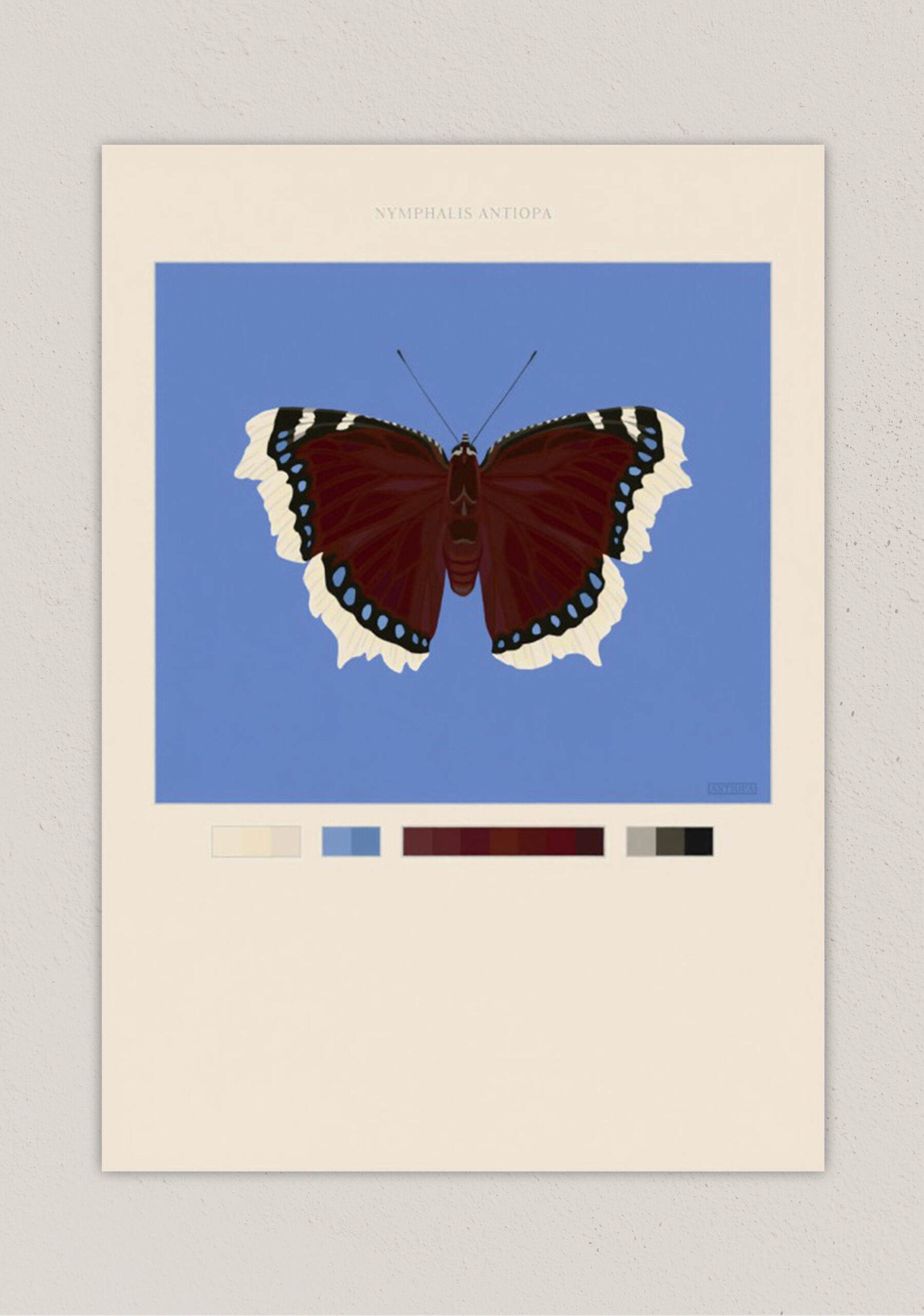 Mourning Cloak Blue Butterfly Poster Digital Download Thumbnail 2