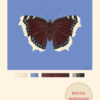 Mourning Cloak Blue Butterfly Poster Digital Download