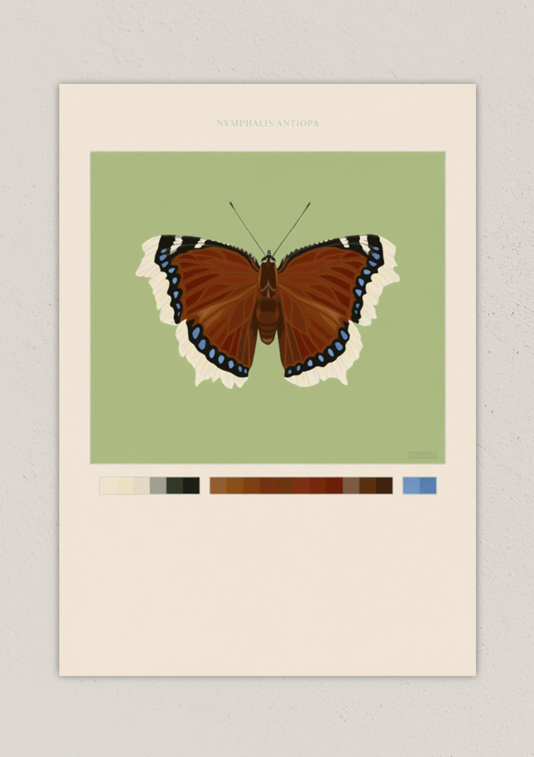 Mourning Cloak Green Butterfly Poster Digital Download Thumbnail 2
