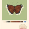 Mourning Cloak Green Butterfly Poster Digital Download