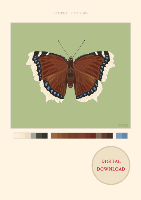 Mourning Cloak Green Butterfly Poster Digital Download