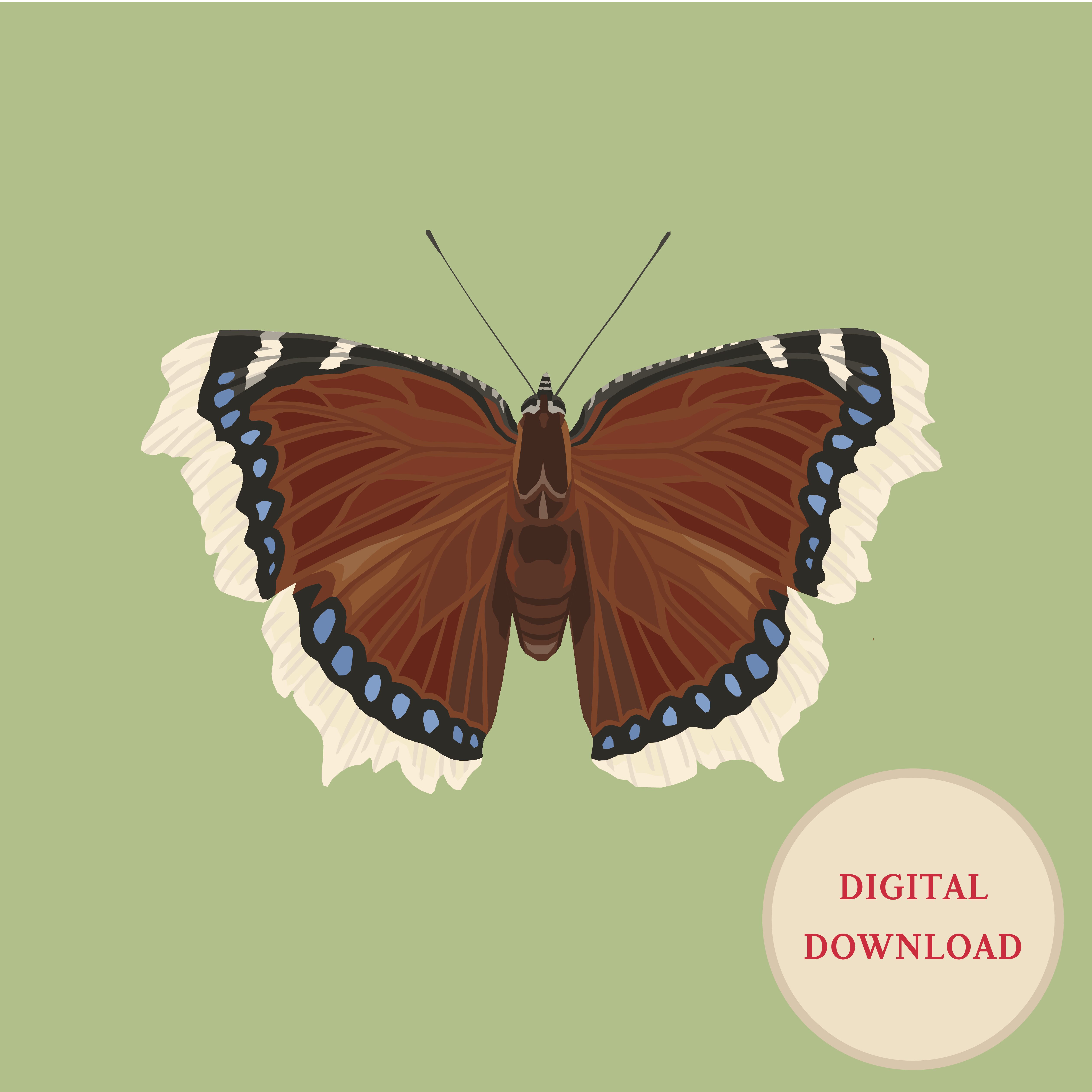 Mourning Cloak Green Square Poster Digital File Mark Mourning Cloak Green Square Butterfly Poster Digital Download
