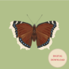 Mourning Cloak Green Square Butterfly Poster Digital Download
