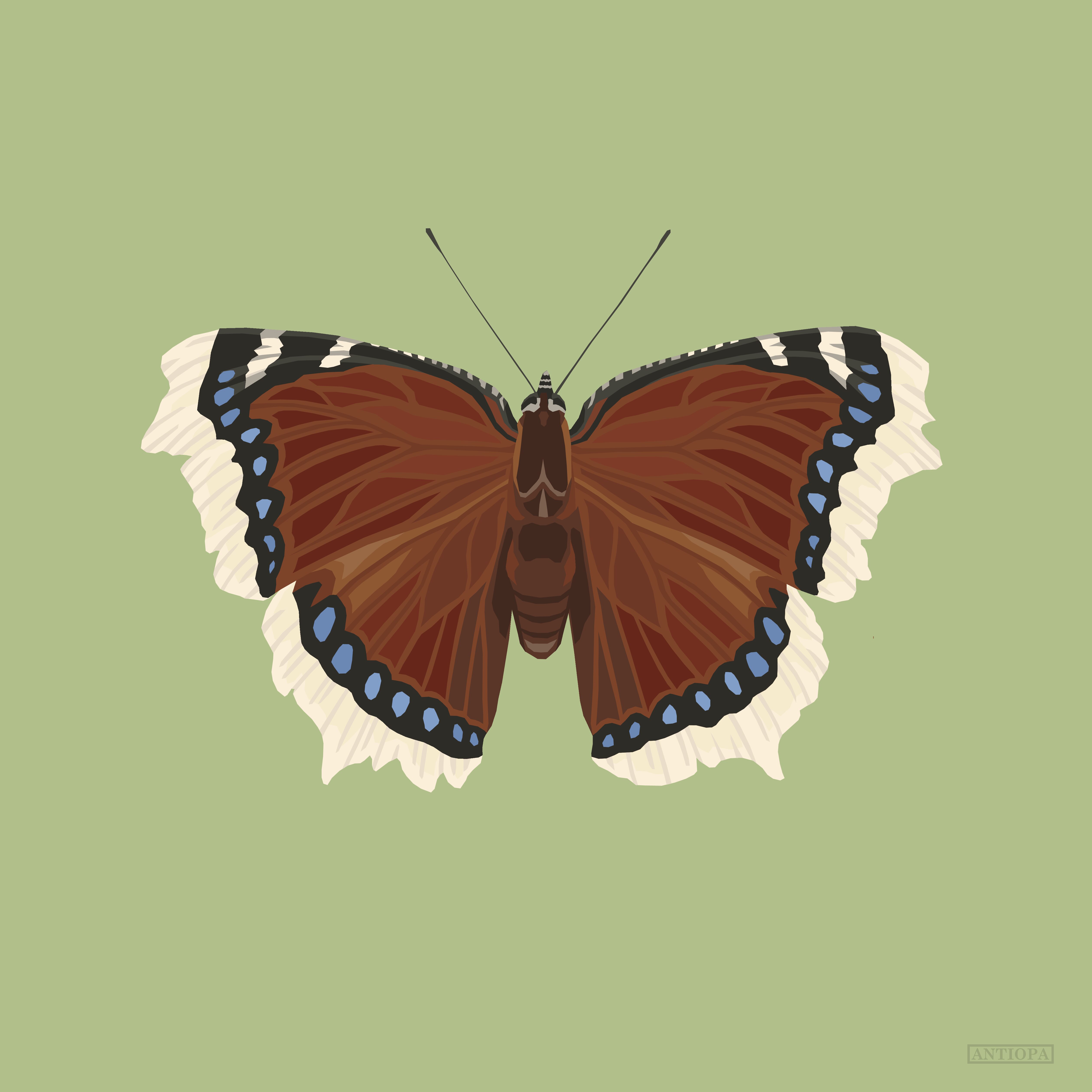 Mourning cloak green clean square Mourning Cloak Square Butterfly Poster Green