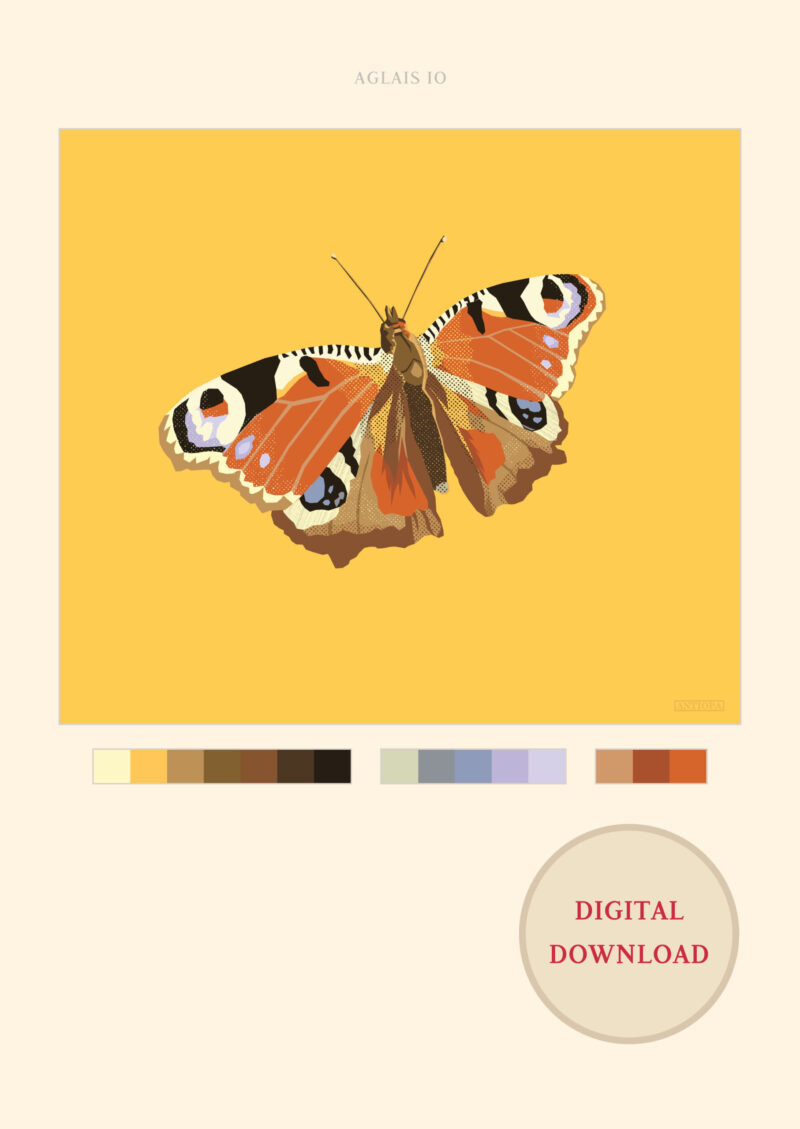 Peacock Butterfly Poster Digital Download