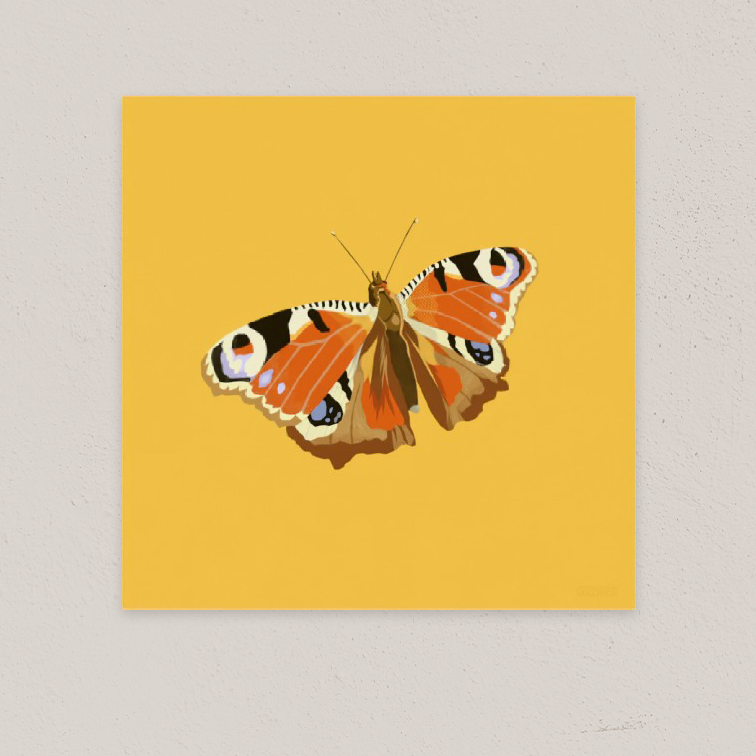Peacock Butterfly Square Poster Digital Download Thumbnail